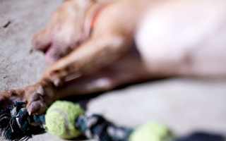 Illustration for article titled Shooting Challenge Freelensing Gallery 2